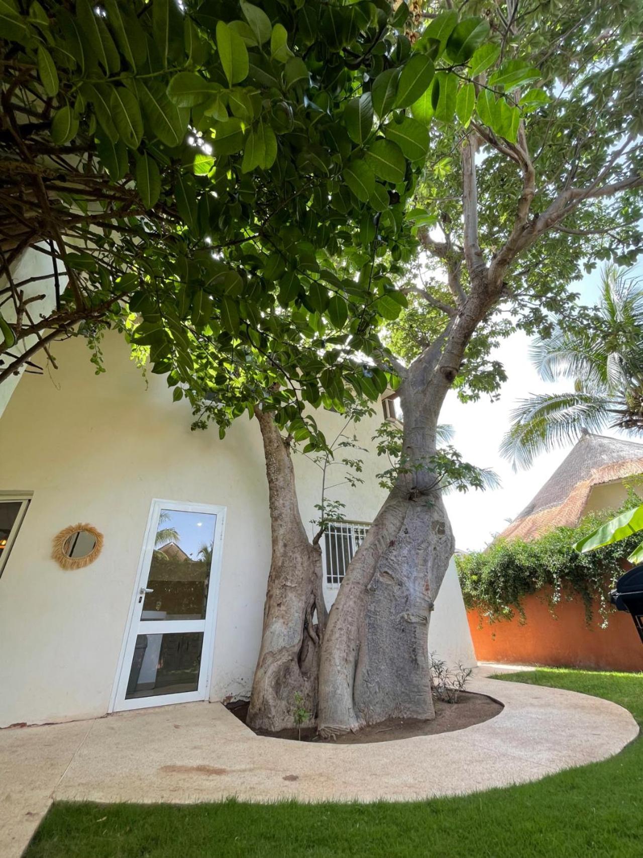 Agence Adjana Resort - Residence Du Port 3 Sali Tapé Eksteriør billede